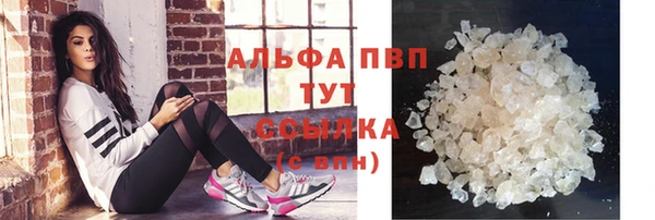 прущие грибы Бородино