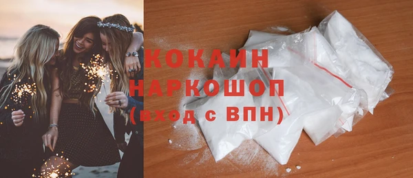 прущие грибы Бородино
