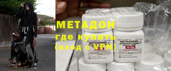 прущие грибы Бородино
