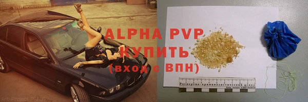 прущие грибы Бородино