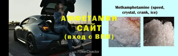 прущие грибы Бородино