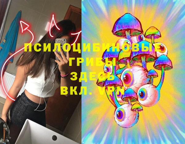 прущие грибы Бородино