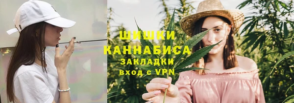 прущие грибы Бородино