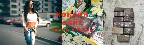 прущие грибы Бородино